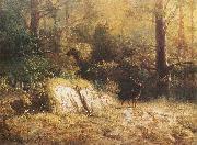 unknow artist Forest landscape with a deer France oil painting artist